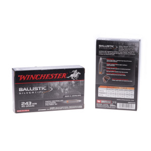 Winchester Ammunition, .243 Winchester, 95 gr, BST [20]