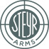Steyr Arms (1)